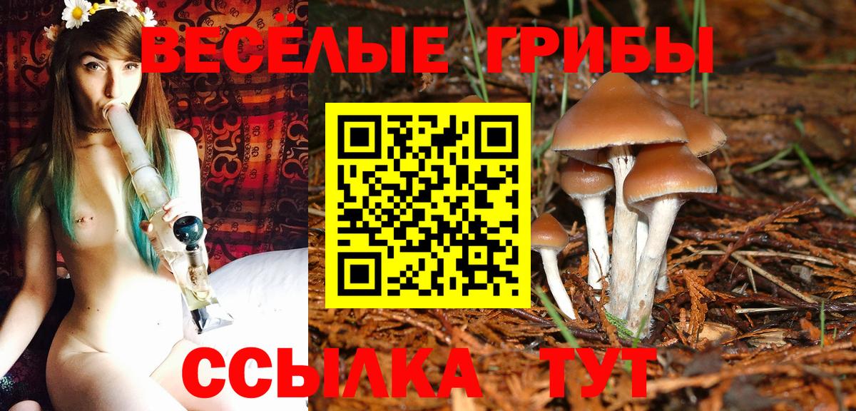 Псилоцибиновые грибы Psilocybine cubensis  Вход с VPN  Сарапул  Псилоцибиновые грибы Magic Shrooms 
